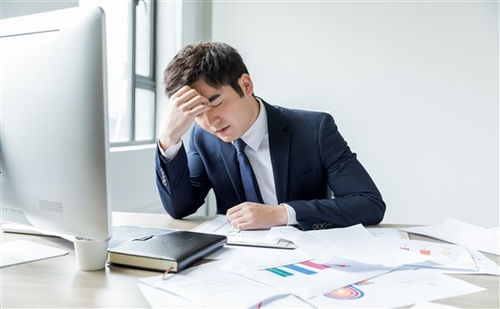 上海人力资源管理师培训全方位指南 机构选择、费用解析与备考策略